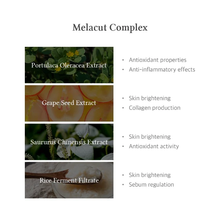 15% Niacinamide Purity Serum - Image 5